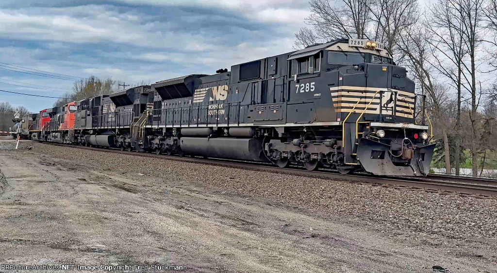 NS 7285 leads 6K4.